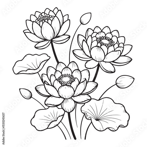 Lotus Flower Line Art Illustration