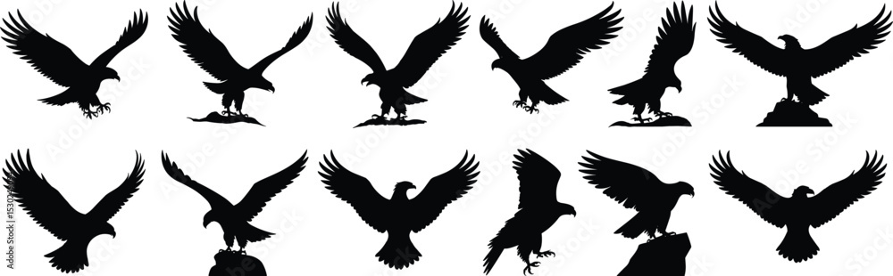 Fototapeta premium Eagle silhouette collection, flying and perched raptor icons, predatory bird illustrations, black hawk vector set on rocks and groundflat vector illustration