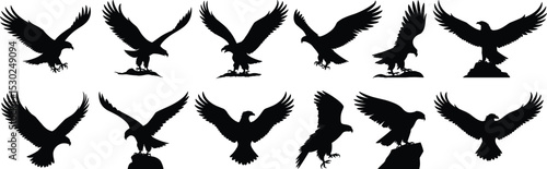 Eagle silhouette collection, flying and perched raptor icons, predatory bird illustrations, black hawk vector set on rocks and ground

 flat vector illustration