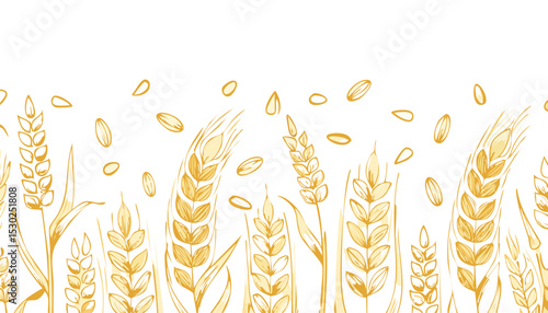 Oat pattern. Oat spikes background. Line cereal drawing. Grain farm sketch in golden color. Vector bread plant art. oat, flake, gold, grain, outline, seed, crop, drawing, drawn, milk, simple, 