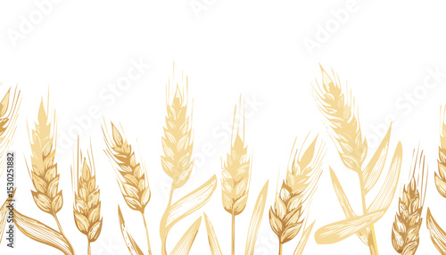 Oat pattern. Oat spikes background. Line cereal drawing. Grain farm sketch in golden color. Vector bread plant art. oat, flake, gold, grain, outline, seed, crop, drawing, drawn, milk, simple, 