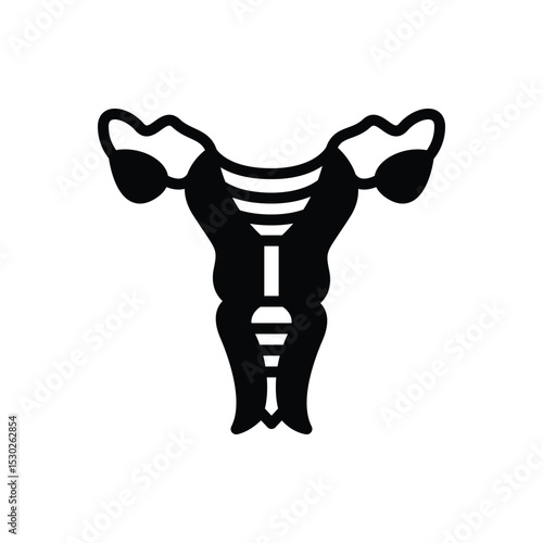 Black solid icon for uterus