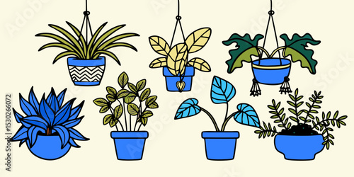 Collection of hanging and potted houseplants