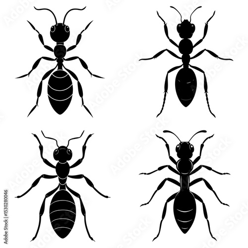 Four black ant silhouettes with segmented bodies and six legs displayed on a white background surface