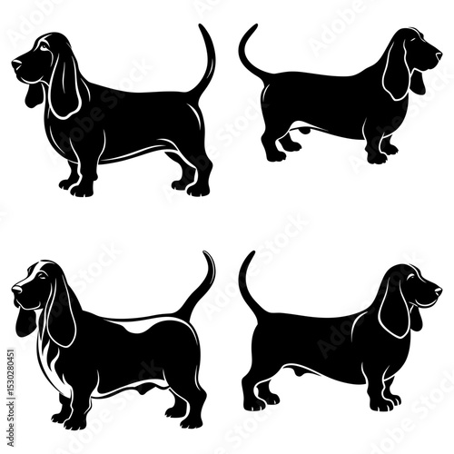 Four basset hound dogs in black silhouette standing in various poses on a white background design art