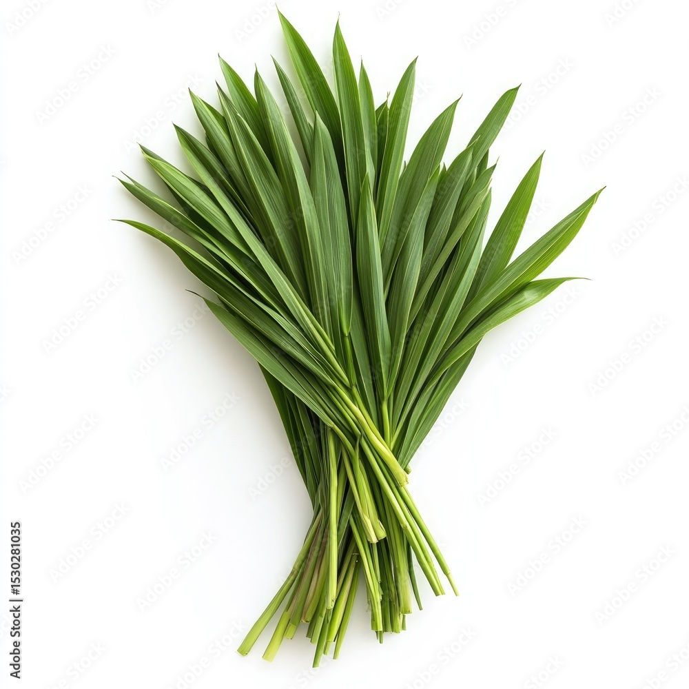 Fototapeta premium Fresh, vibrant bunch of green leaves