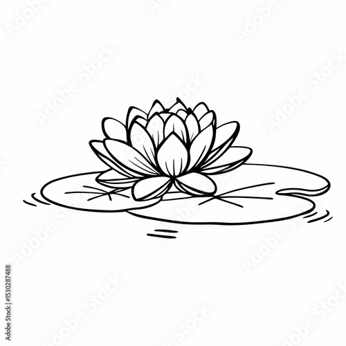 Outline drawing of a water lily on a lily pad in black