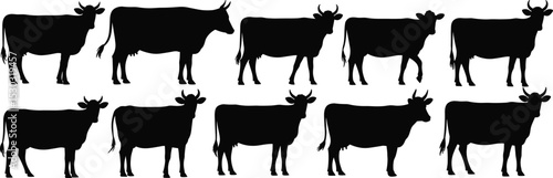 Cow silhouette vector collection, farm cattle animal icons, domestic livestock graphic set, black cow profile illustration pack, rural farming element

 flat vector illustration