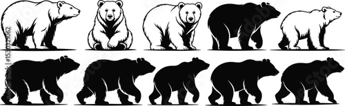 Grizzly bear silhouette collection, wild bear vector design, standing and walking bear poses, black and white bear illustration set

 flat vector illustration