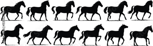 Silhouette of horses running, black horse vector collection, elegant trotting stallions, equine outline graphic, farm animal walking art design

 flat vector illustration