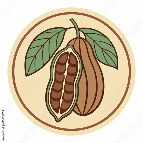 Illustration of Cacao Pods with Leaves on a Circular Background