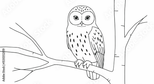 owl perched on branch outline