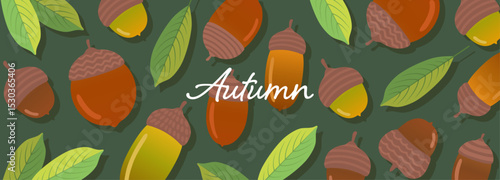 どんぐりの背景イラスト素材_1