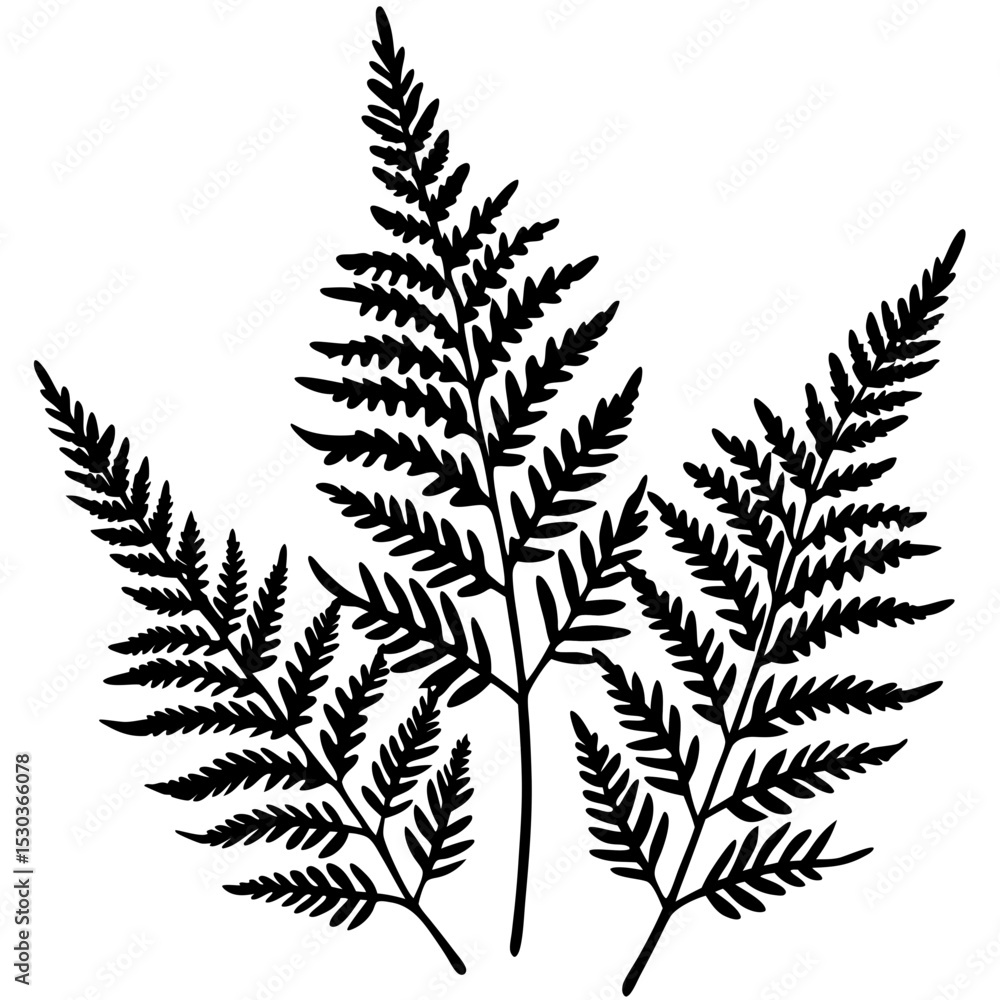 Whispering Ferns – Minimal Vector on White Whispering Ferns – Minimal Vector on White