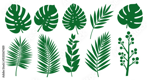 Exploring Diverse Green Plant Varieties in Lush Foliage of Tropical and Temperate Zone