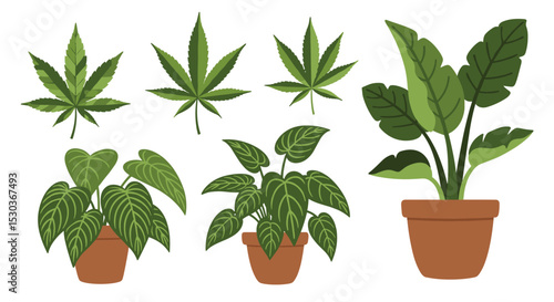 Cultivating Indoor Green Spaces A Comprehensive Guide to Selecting and Caring for Houseplants