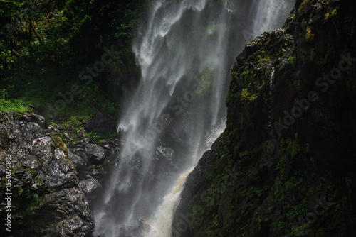 Go on a trip with nature