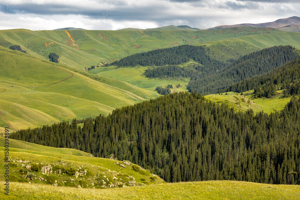 Fototapeta premium landscape with green hills