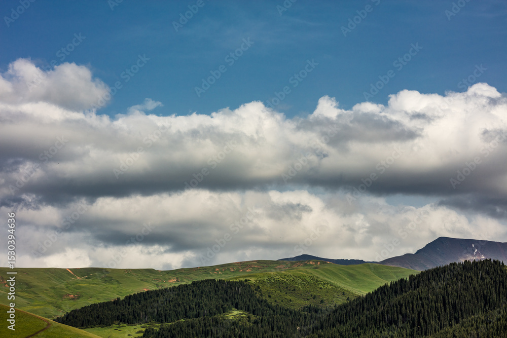 Naklejka premium landscape with clouds
