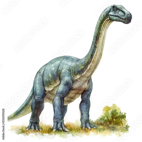 Diplodocus, watercolor vector, isolated on a white background.
