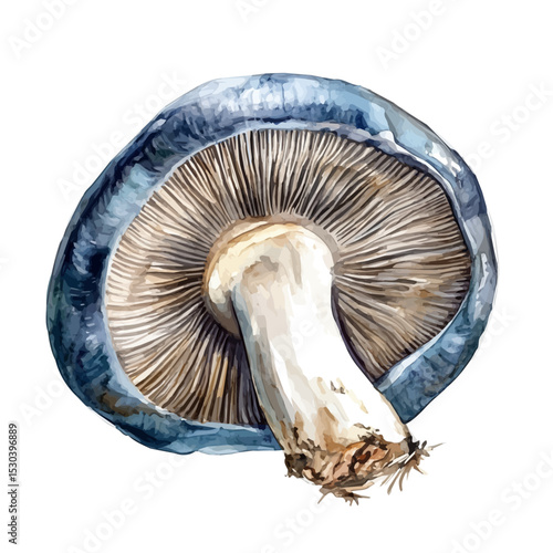 Digital Buret, watercolor drawing vector, isolated on a white background.