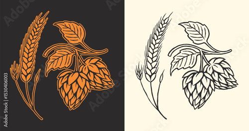 Hand Drawn Bear Hops Illustrations