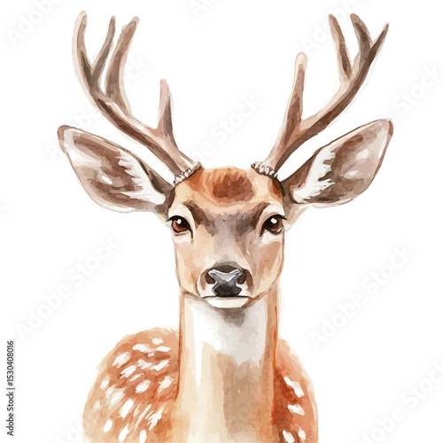 watercolor of Deer Close Up, vector, isolated on a white background.