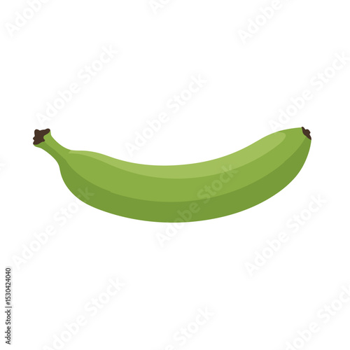 Unripe Banana Illustration