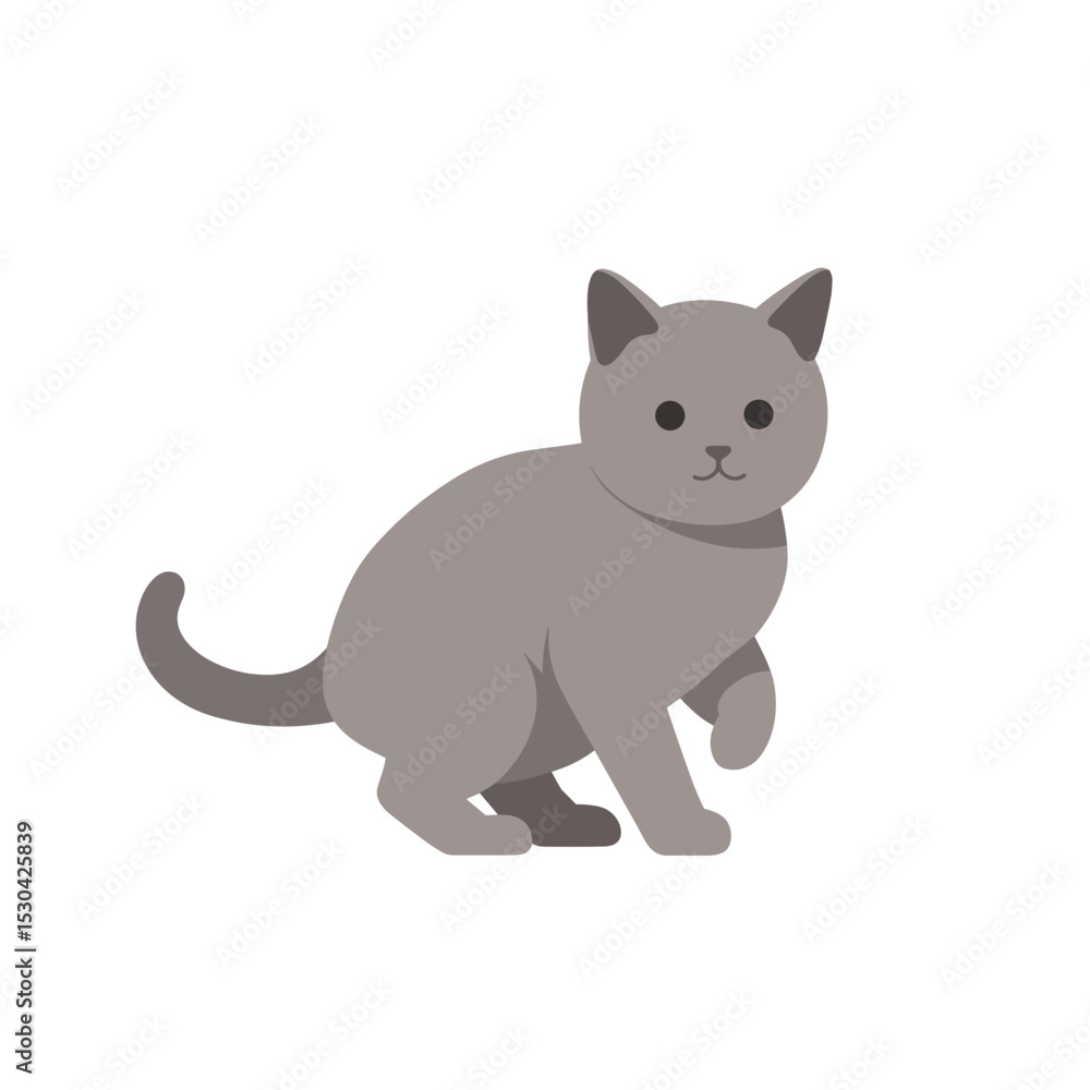 Gray cat illustration Gray cat illustration