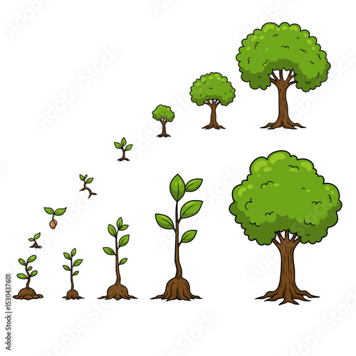 Vector watercolor of tree side view isolated on white background for landscape and architecture drawing, elements for environment and garden, painting botanical for section and elevation