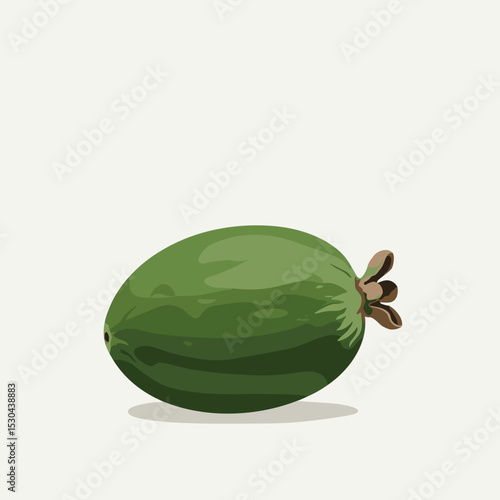 A close-up of a ripe avocado with a smooth green skin, set against a plain background