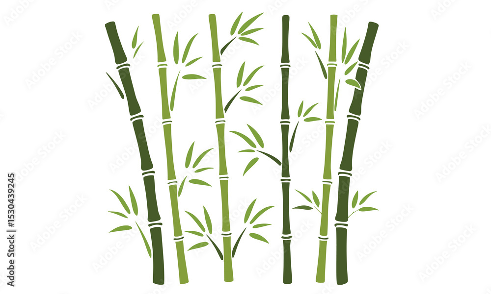Obraz premium Bamboo set vector