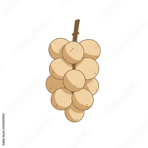 A cluster of round, pale fruits hanging from a slender stem against a plain background