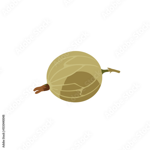 A detailed illustration of a ripe gooseberry resting on a branch, showcasing its natural color and texture against a plain background