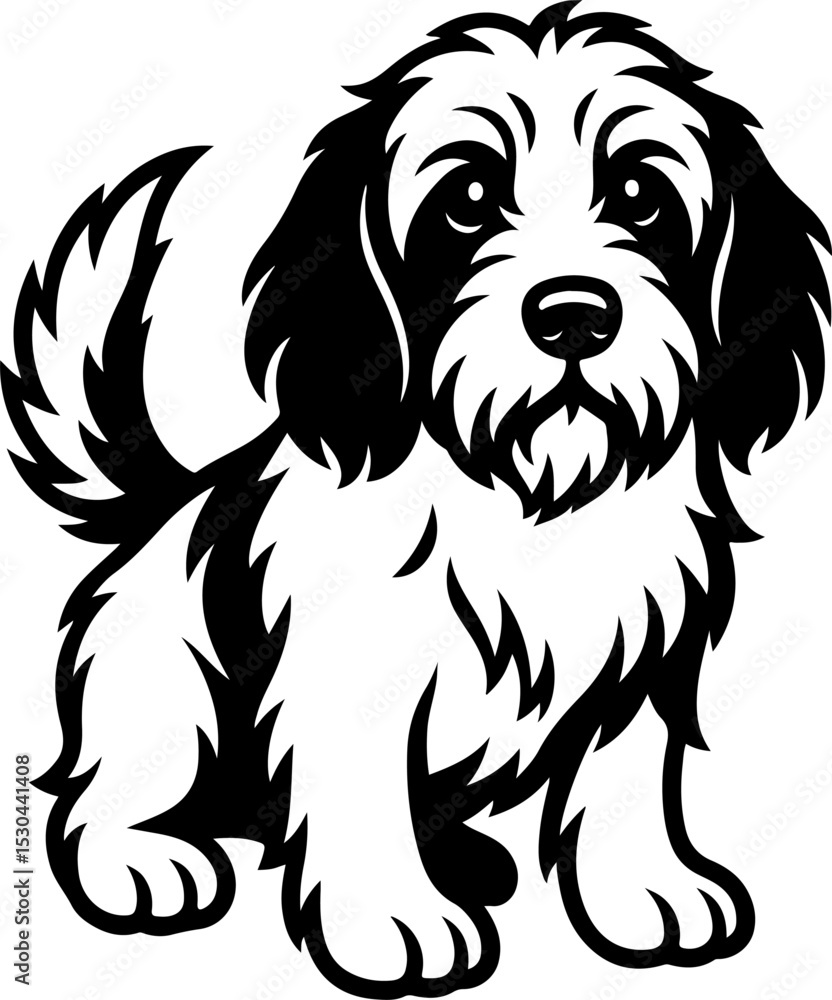 Fototapeta premium Petit Basset Griffon.eps