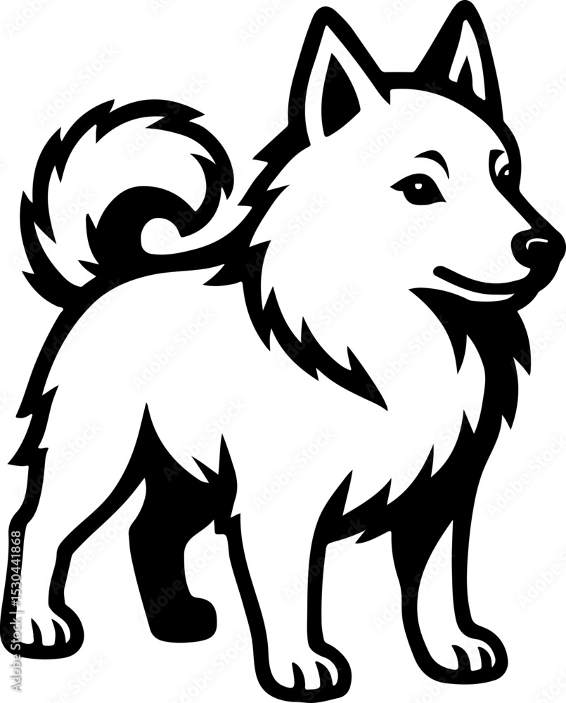 Obraz premium Schipperke.eps