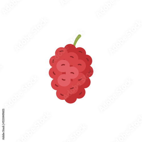 Vibrant cluster of red raspberries with a green stem on a clean white background