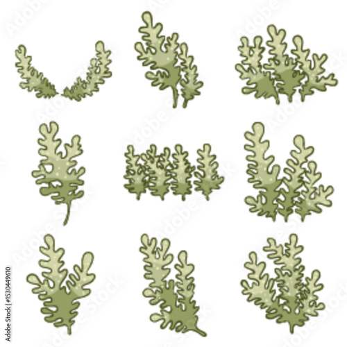 Seaweed or sea grass flat design illustration for decoration on aquarium , ocean, marine life and food concept.