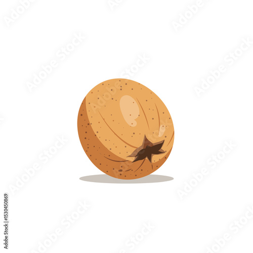 A realistic illustration of a nut with a smooth surface and subtle texture details