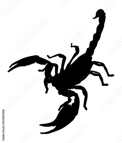 silhouette of a scorpion with a poisonous sting