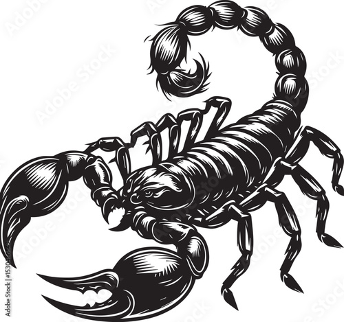 Black and White Scorpion Vector Illustration – Aggressive Insect Tattoo Design	
