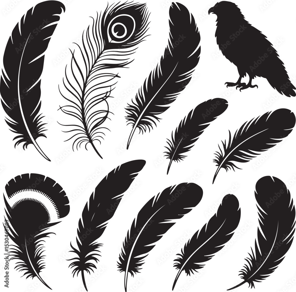 Obraz premium Bird Feather Silhouette Bundle – 10 Black Vector Feathers – Eagle, Peacock, Owl, Parrot, Songbird, Quill, Fan-Shaped and More
