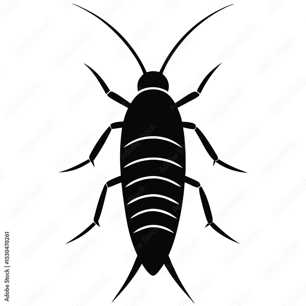 Fototapeta premium silverfish veector