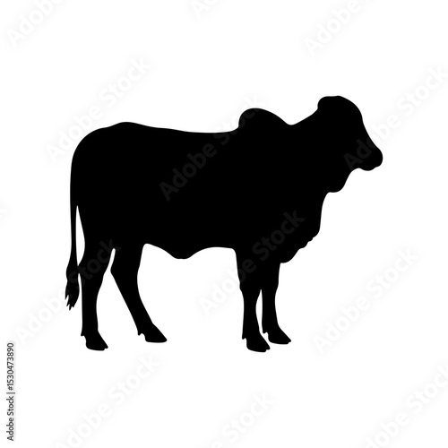 Brahman cow silhouette vector flat illustration design.