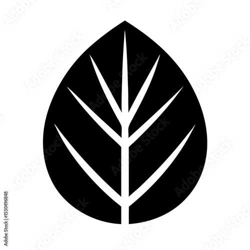 A leaf with perfectly balanced sides and a central vein 