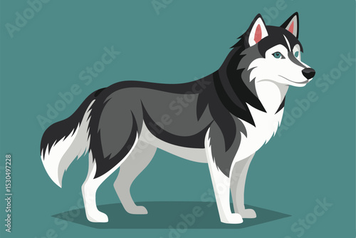 A full shot of a cartoon Siberian Husky, presented in a profile view against a teal backdrop.