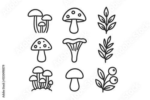 Mushrooms and foliage in a simple line drawing collection showcasing different types of fungi and plants