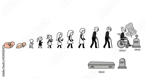 Life Cycle Stages: From Newborn to Death Illustration