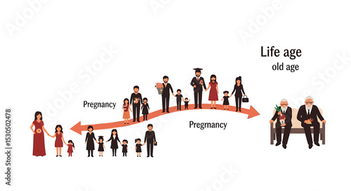 Illustration of the human life cycle from pregnancy to old age.
