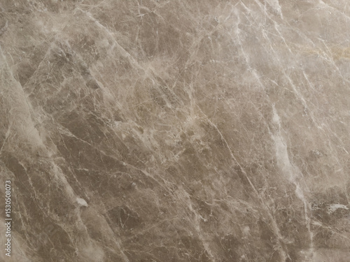 Elegant Brown Marble Texture with Polished Veined Surface